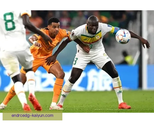 加克波进球助荷兰队锁定胜局，状态回暖迎战下一轮挑战